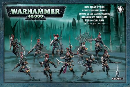 Warhammer 40K Dark Eldar Wyches