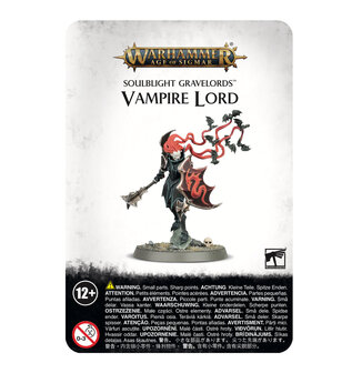 Warhammer Age of Sigmar Vampire Lord