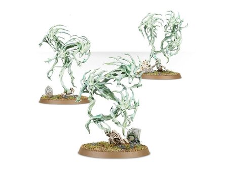 Warhammer Age of Sigmar Nighthaunt Spirit Hosts