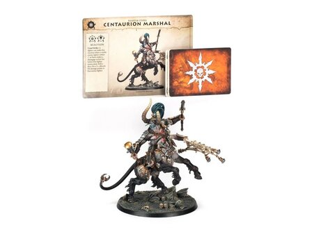 Warhammer Age of Sigmar Centaurion Marshal