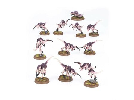 Warhammer 40,000 Tyranids: Hormagaunts