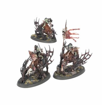 Warhammer Age of Sigmar Flesh - Eater Courts Army Set