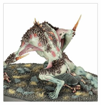 Warhammer Age of Sigmar Spearhead Flesh-Eater Courts