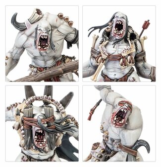 Warhammer Age of Sigmar Warcry Gorger Mawpack