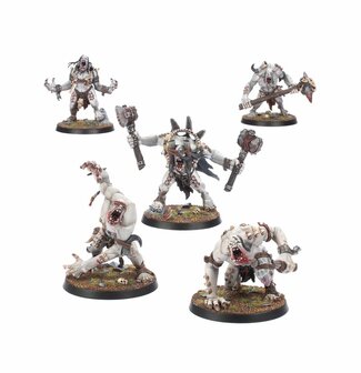 Warhammer Age of Sigmar Warcry Gorger Mawpack