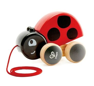 Hape Pull Along  Ladybug