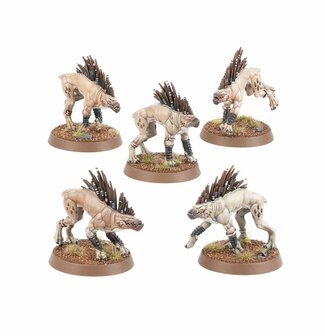 Warhammer 40,000 T&#039;Au Empire Kroot Hounds