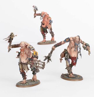 Warhammer Age of Sigmar Spearhead Sns of Behemat