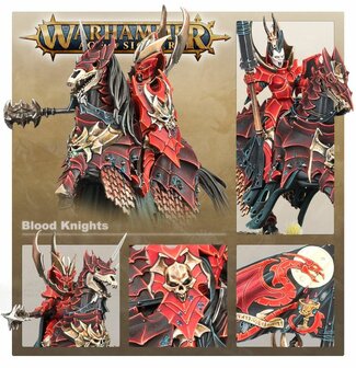 Warhammer Age of Sigmar Soulblight Gravelords Blood Knights