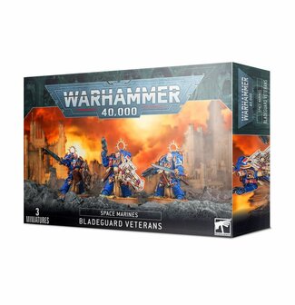 Warhammer40,000 Space Marines BLADEGUARD VETERANS