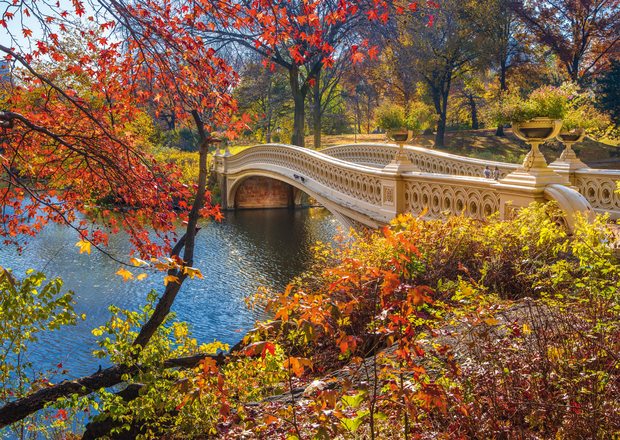 Schmidt Puzzel Wandeling in Central Park New York