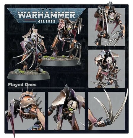 Warhammer 40,000 Necrons Flayed Ones