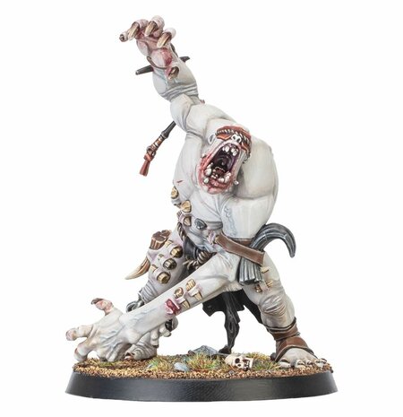 Warhammer Age of Sigmar Warcry Gorger Mawpack