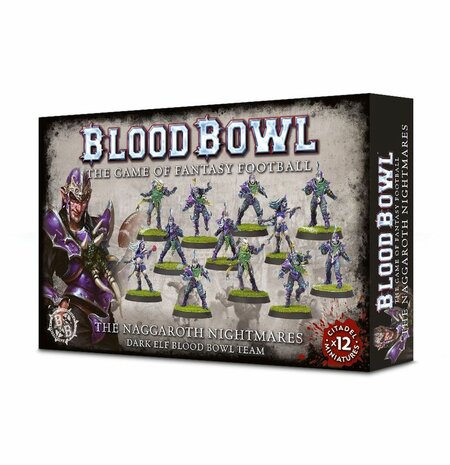 Warhammer Blood Bowl Dark Elf Blood Bowl Team the Naggaroth Nightmares