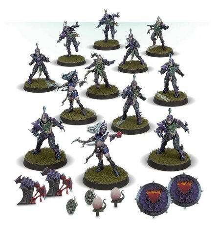 Warhammer Blood Bowl Dark Elf Blood Bowl Team the Naggaroth Nightmares